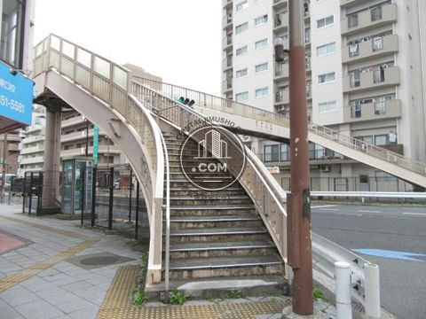 大通り
