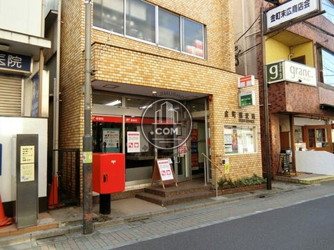 大通り