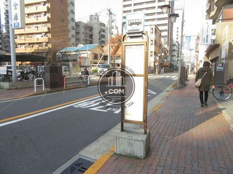 大通り