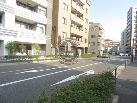大通り