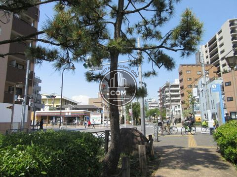 大通り