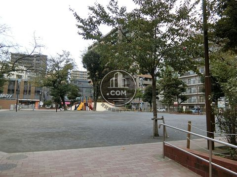 大通り
