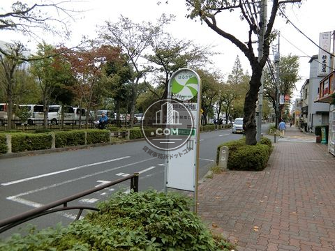 大通り