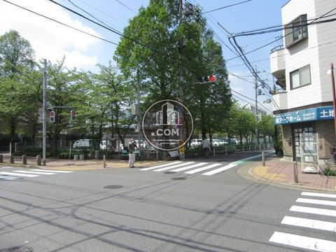 大通り