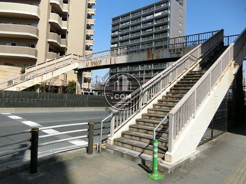 大通り