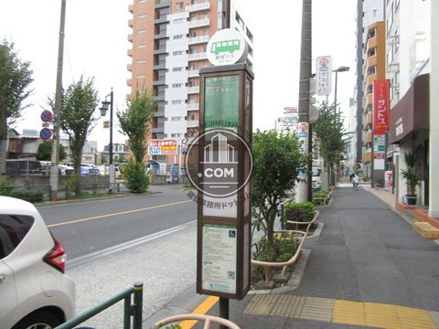 大通り