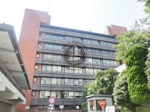 大通り