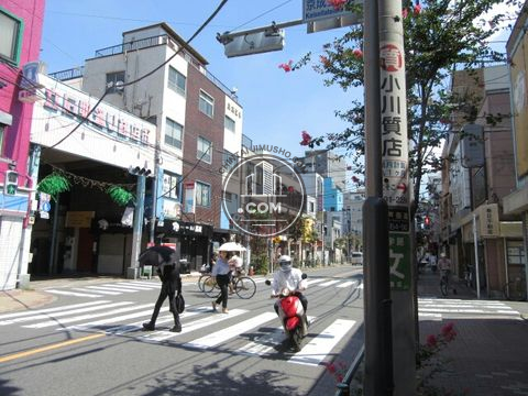 大通り