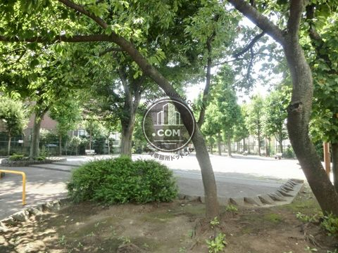 裏路地