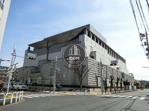 大通り