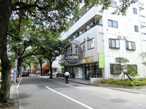 大通り