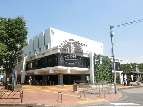 大通り