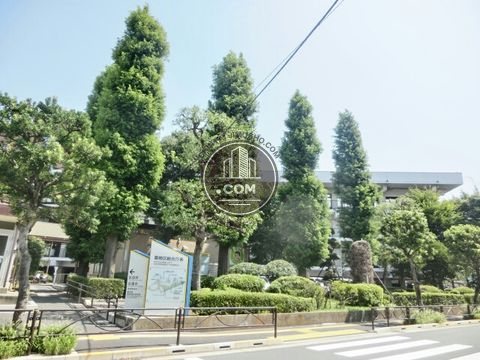 大通り
