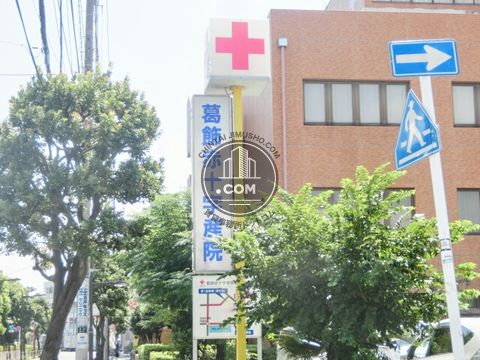 大通り
