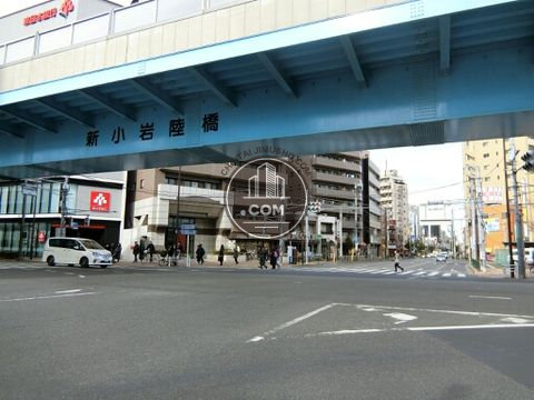 大通り
