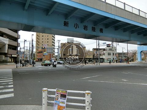 大通り