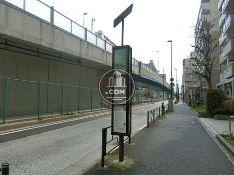 大通り
