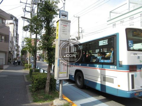 大通り