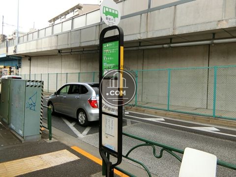 大通り