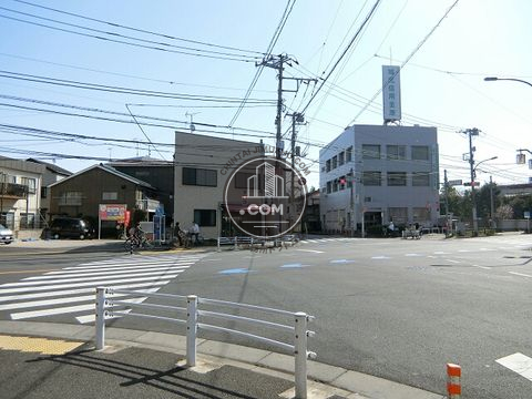 大通り
