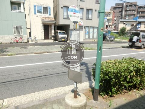 大通り