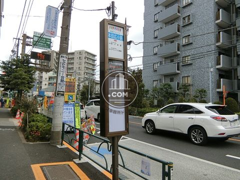 大通り