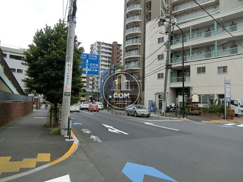 大通り