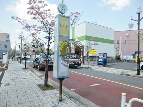 大通り