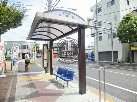 大通り