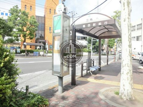 大通り