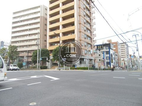大通り