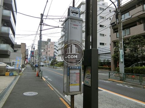 大通り