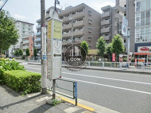 大通り