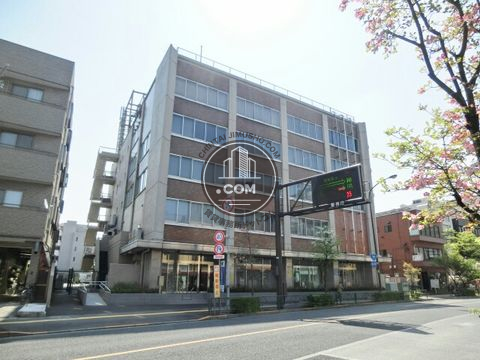 大通り