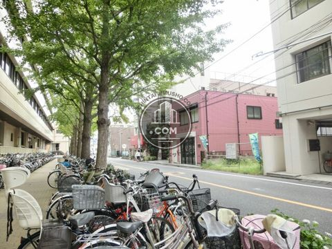 大通り