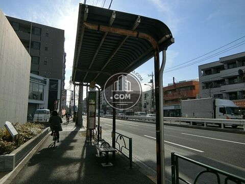 大通り