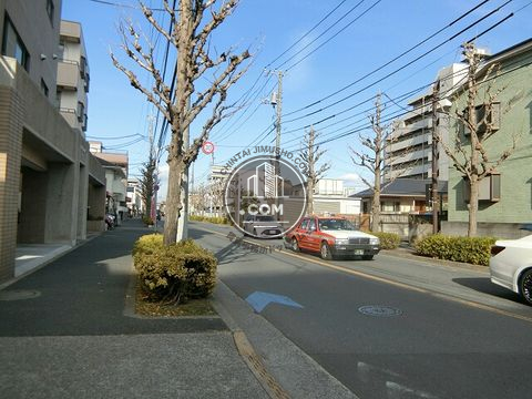大通り