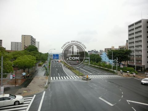 大通り
