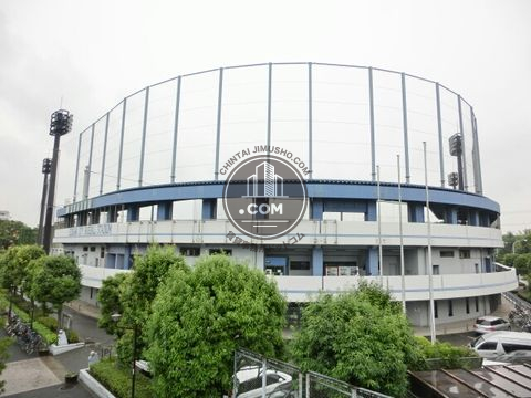 大通り