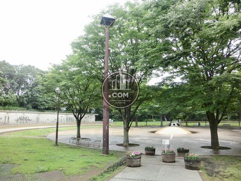 大通り