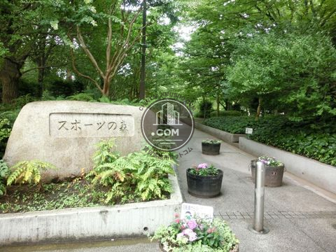 大通り