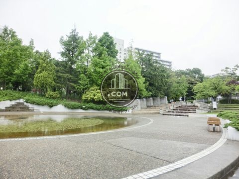 大通り