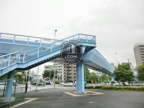 大通り