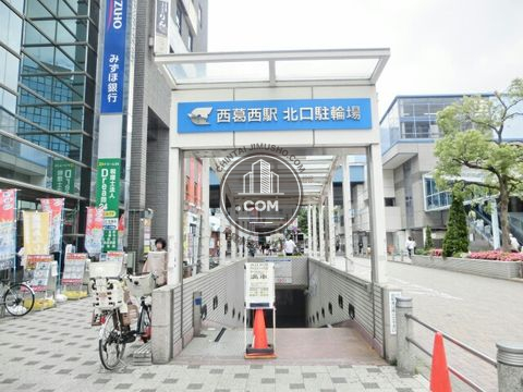 大通り