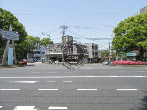 大通り