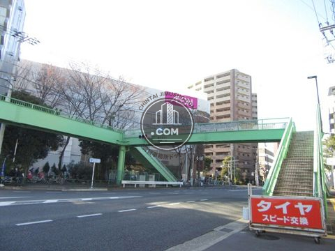 大通り