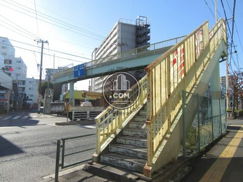 大通り