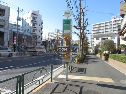 大通り