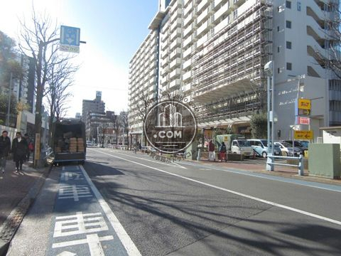 大通り