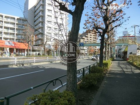 大通り